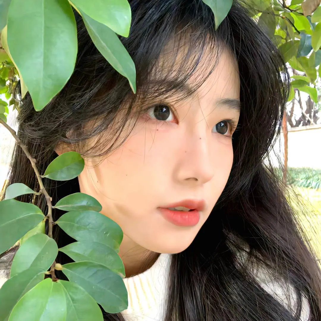 犯罪生涯