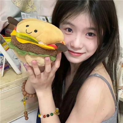 躲在阁楼的安妮·法兰克